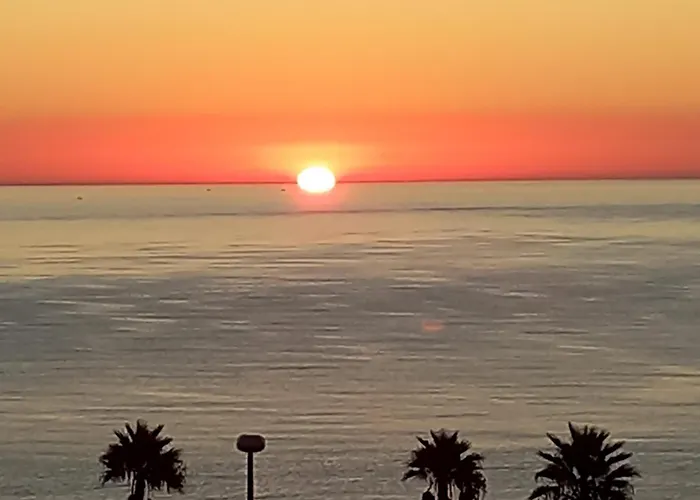 Una Vista Divina - Mil Palmeras
